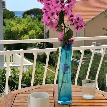 Apartment Dubravka 2 *